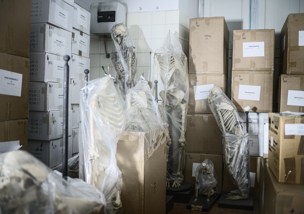 gabriella-martino-wrapped-specimen-4-natural-history-museum-of-pavia-italy-2015