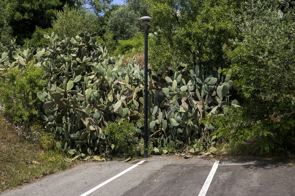dimitri-angelini-parkplatz-studies-6-capalbio-toskanaitalien-2016