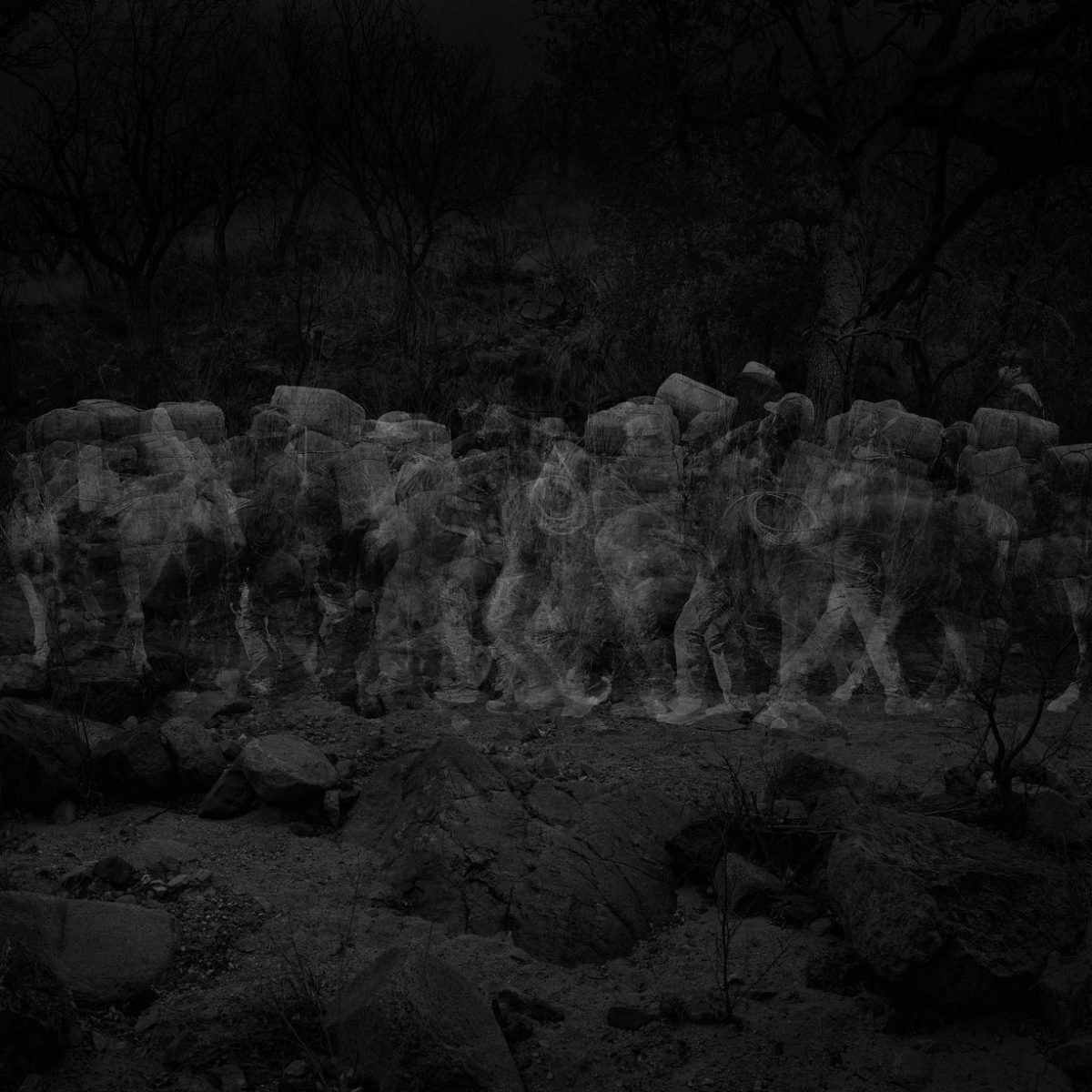 1 29 Humans (Smugglers) and 12 Horses, 1-Week Interval, Patagonia Mountains, AZ, USA, 2019